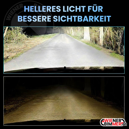 D1S LED Auto-Scheinwerfer – Superhell & Modern